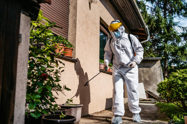 Best Emergency Pest Control  in Mexia, TX