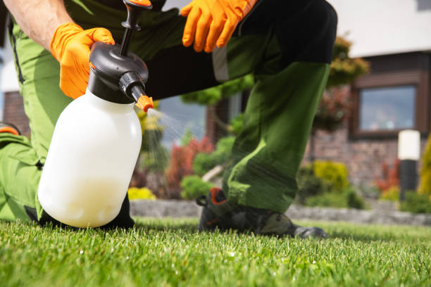 Best Residential Pest Control  in Mexia, TX