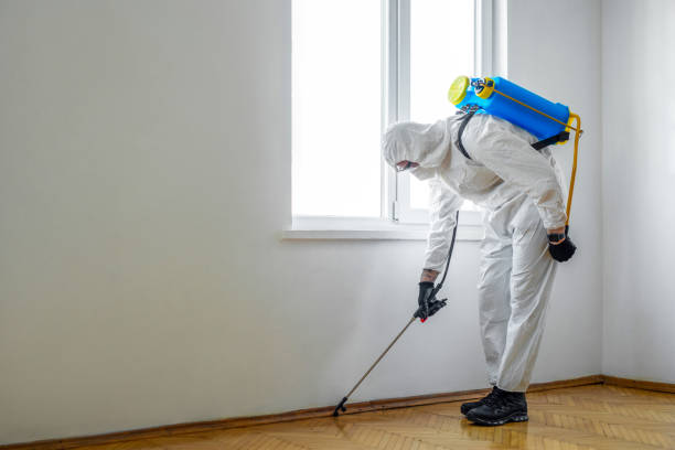 Best Pest Control Near Me in Mexia, TX